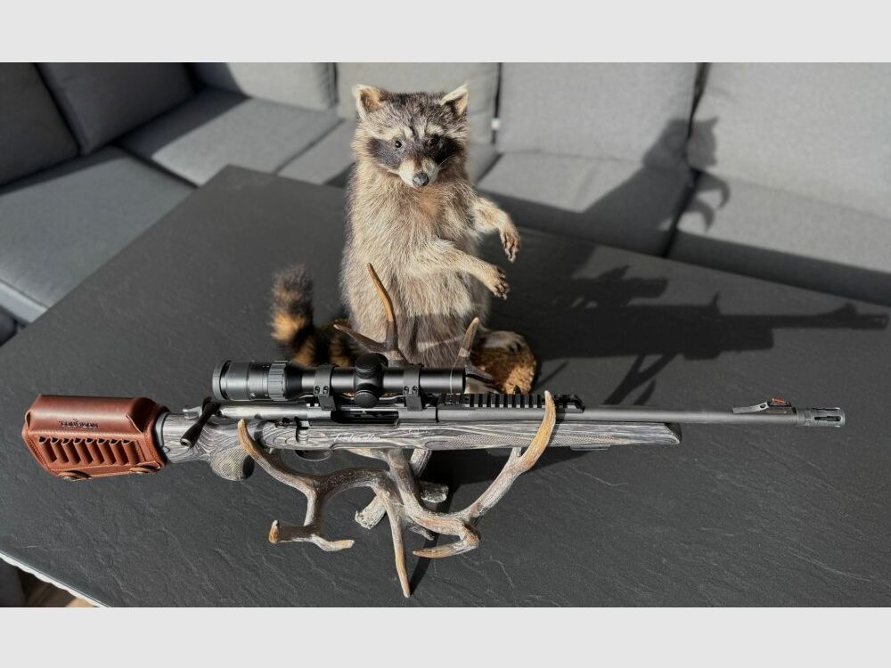 Sabatti Mercury Rover Scout G2