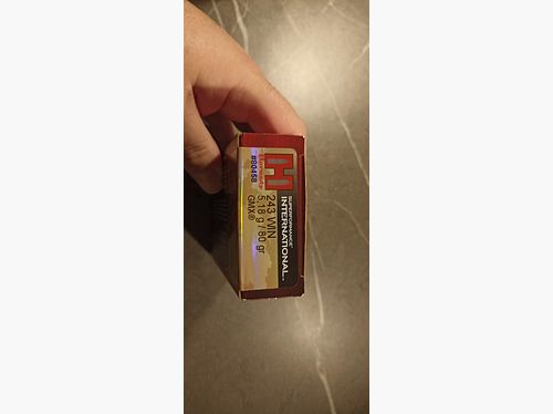 Hornady GMX 243 Win 6 rounds to give away