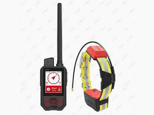 Pacchetto collare di tracciamento e addestramento ROG HUNTING TR DOG V2