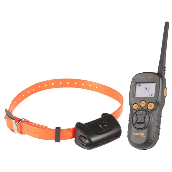 Kit di Addestramento Num'Axes Canicom 5.800