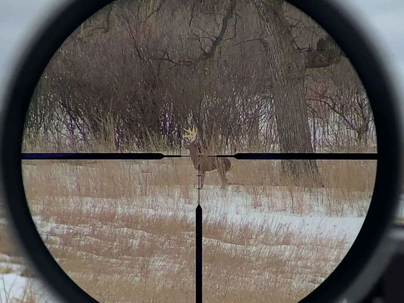 VORTEX Razor LHT 3-15x50 G4i BDC MRAD
