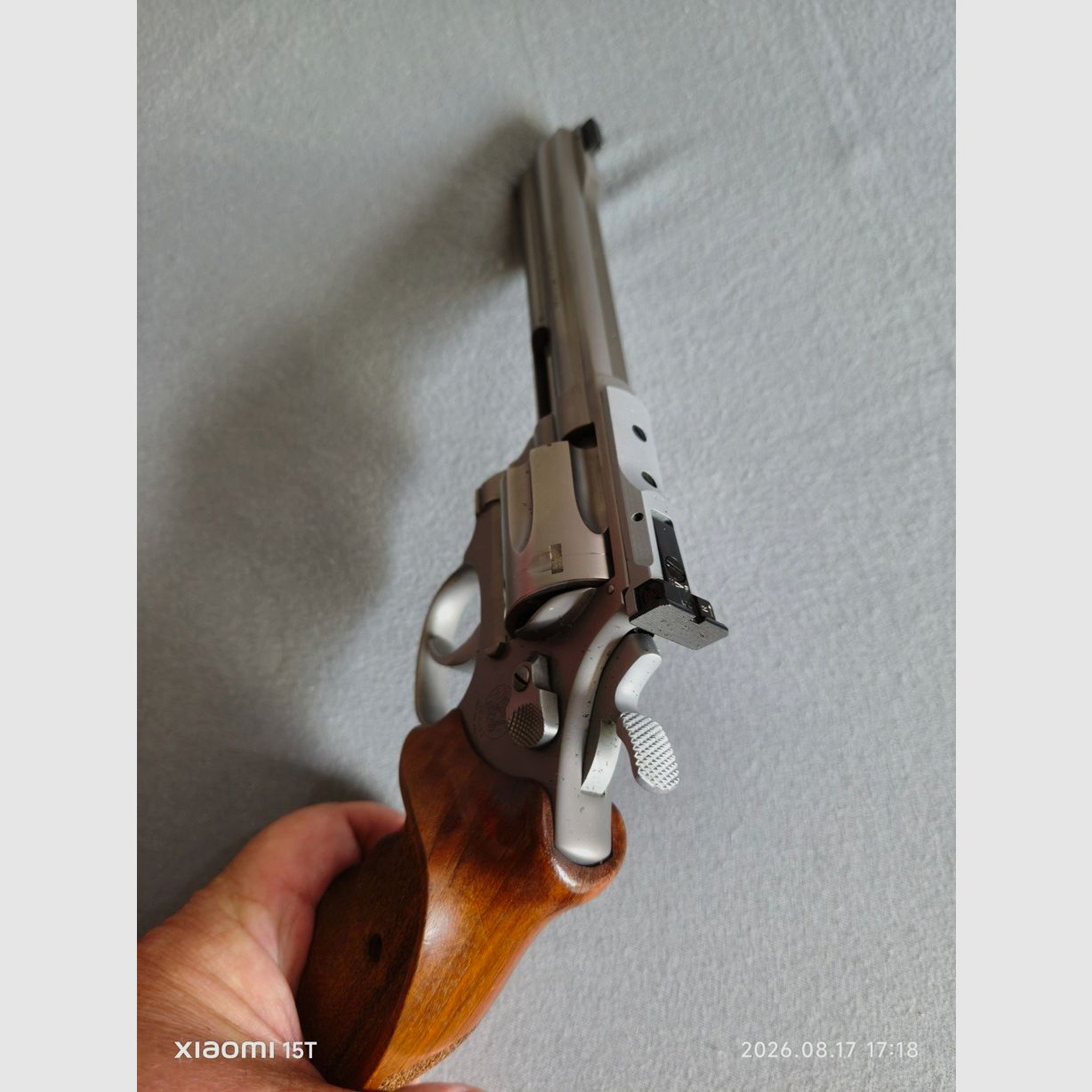 Smith&Wesson Target Champion 22 lr