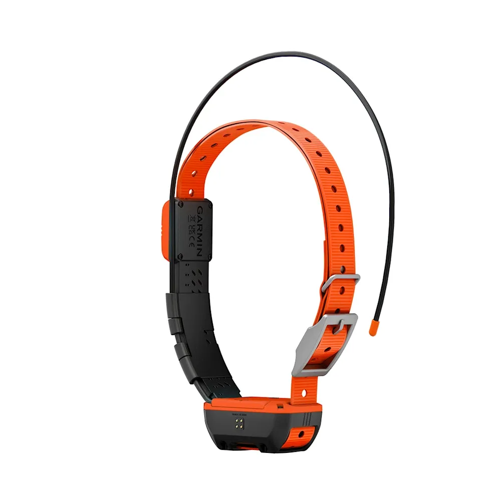 Halsband für Hunde Alpha® T20K, Bild 7 von 7