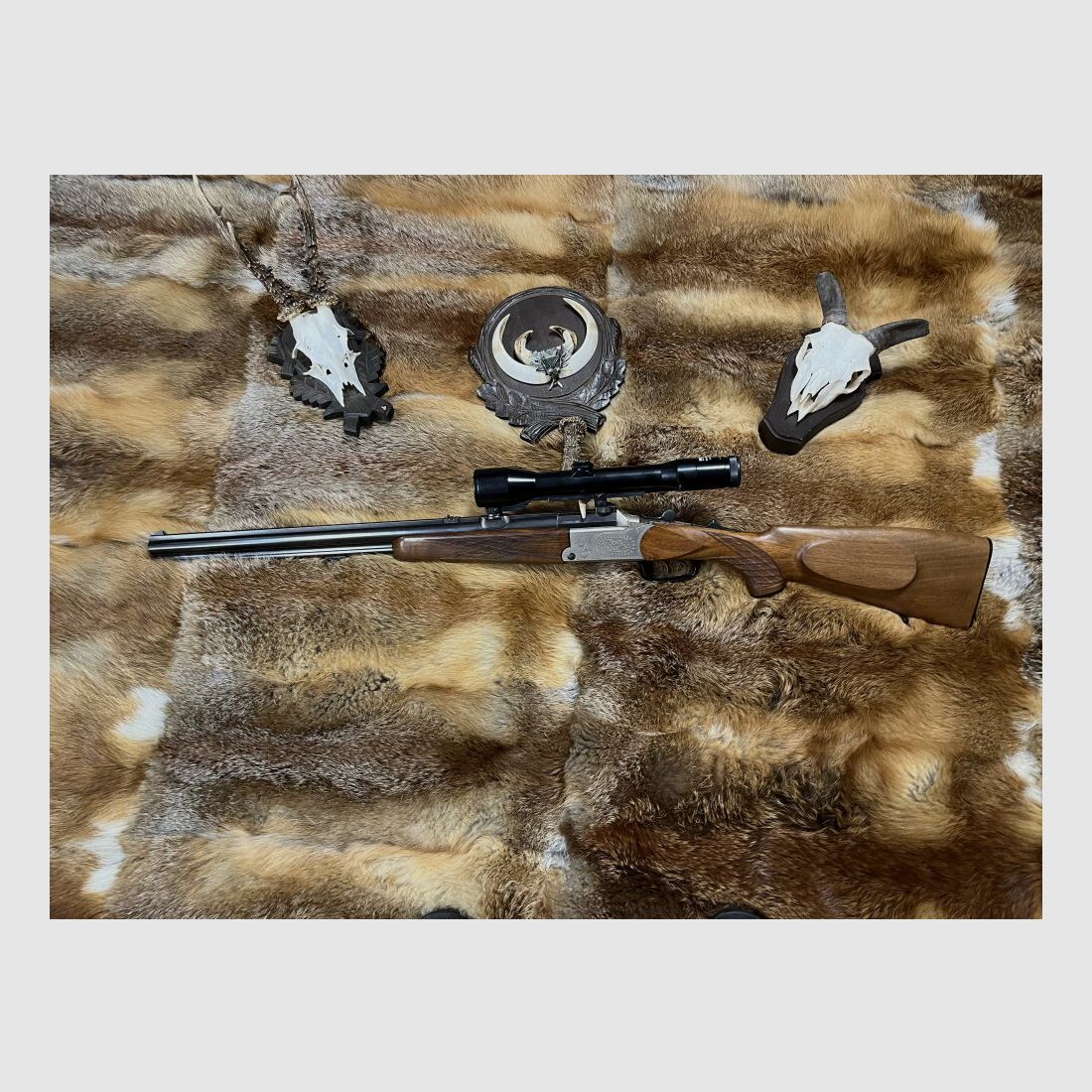 Blaser ES 70