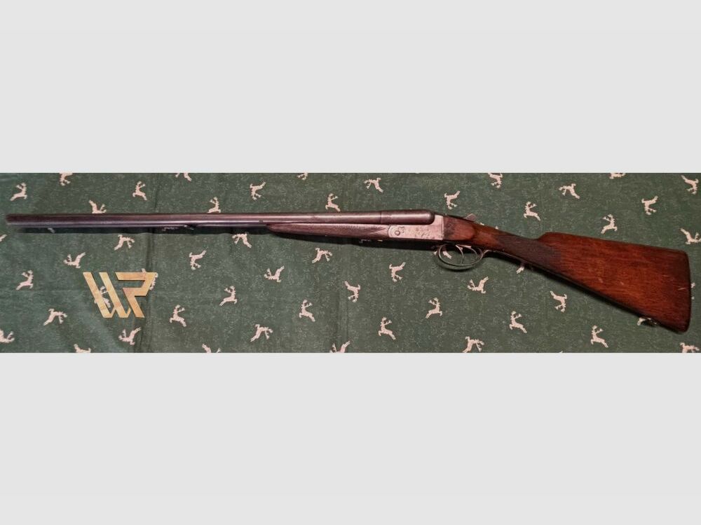 Fosil Robust Brevek - 12/65