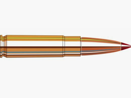 Hornady HORNADY CUSTOM .300 BLACKOUT 110GR CX, VPE: 20STÜCK, #808794