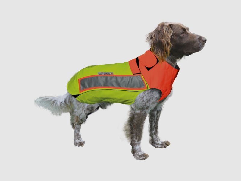 Dog protection vest Hubertus - orange, tear and thorn resistant