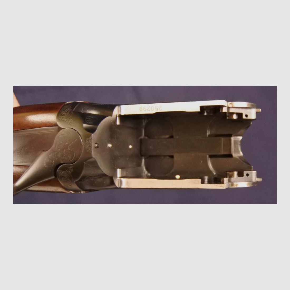 Antonio Zoli CG Esperto matt