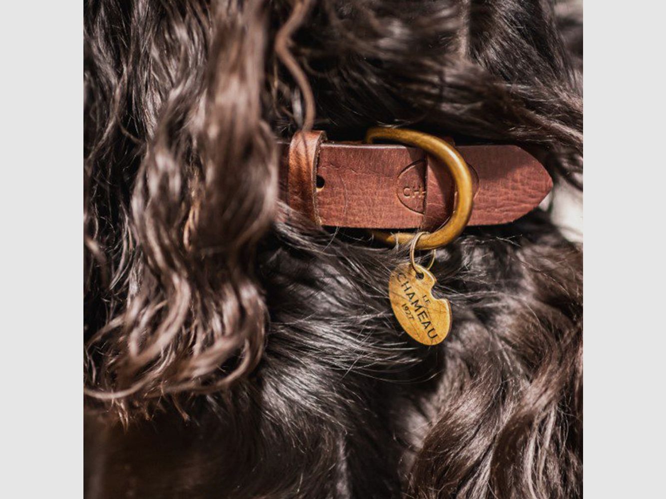 COLLIER CHIEN CUIR LE CHAMEAU, image 3 sur 4