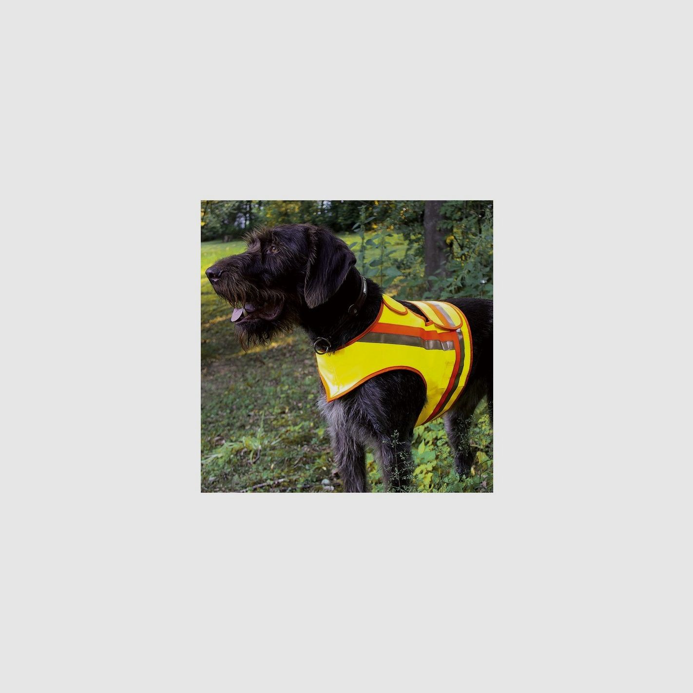 WARNWESTE FÜR HUNDE GR 1 Z.B TECKEL