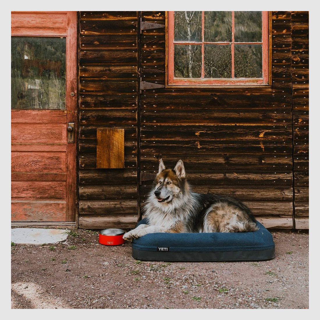 YETI® Boomer Hundebett Large - Olive, Bild 11 von 12