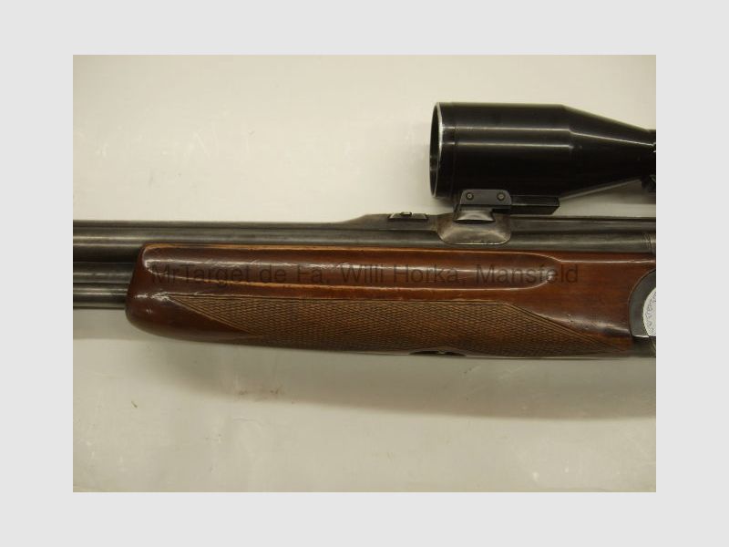 Sabattii mit ZF SWAROVSKI 6x42 Absehen 1