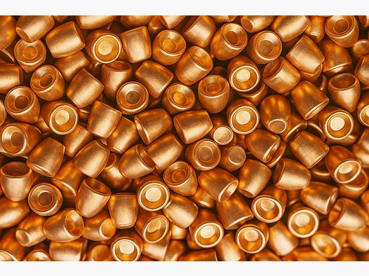 AEA Megalodon Challenger  Slugs Kal. 495 / .50 