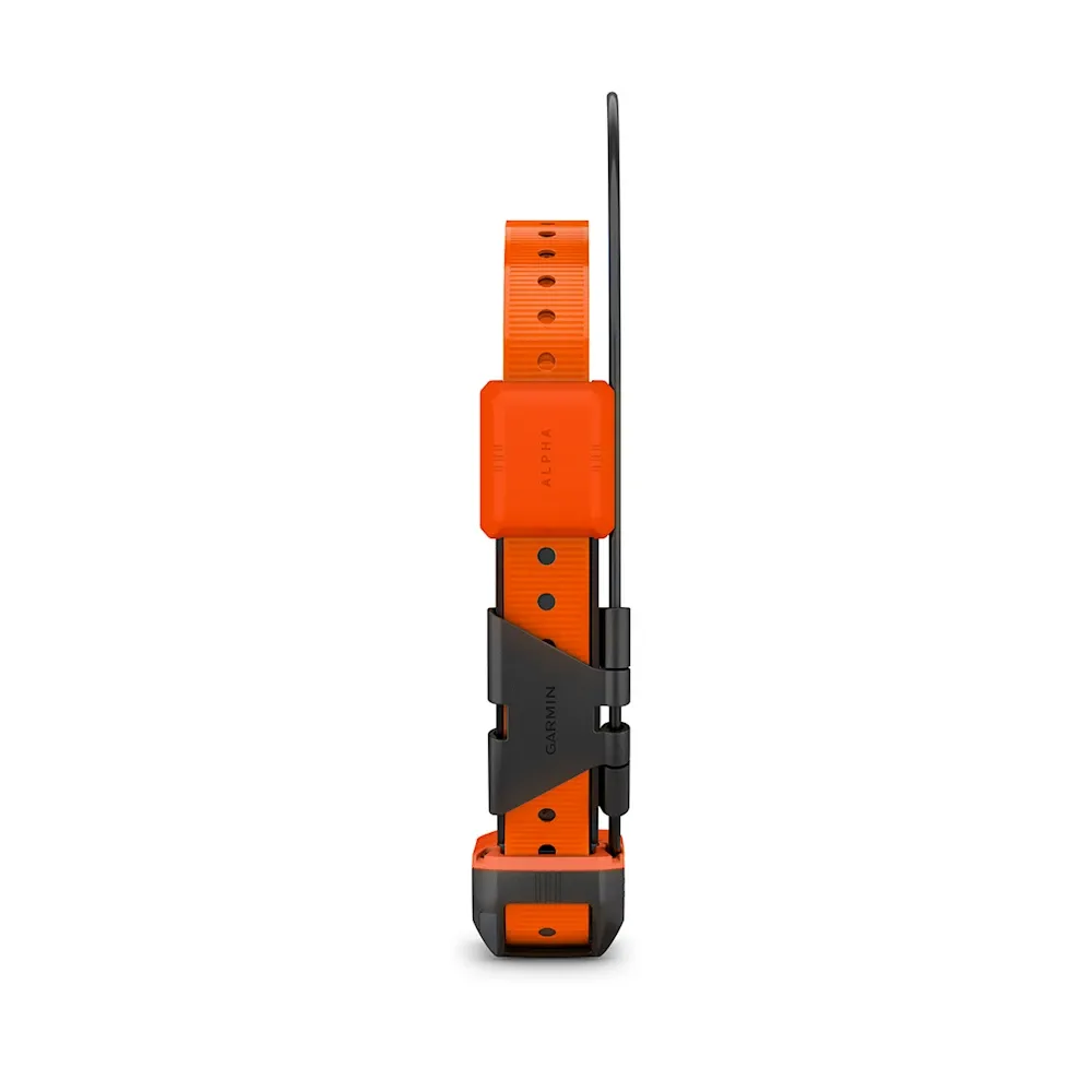 Halsband für Hunde Alpha® T20K, Bild 3 von 7