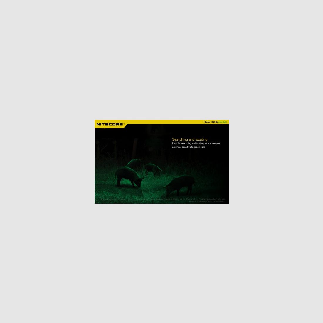 Nitecore TUBE-GL zaklamp (groen licht), afbeelding 8 van 13