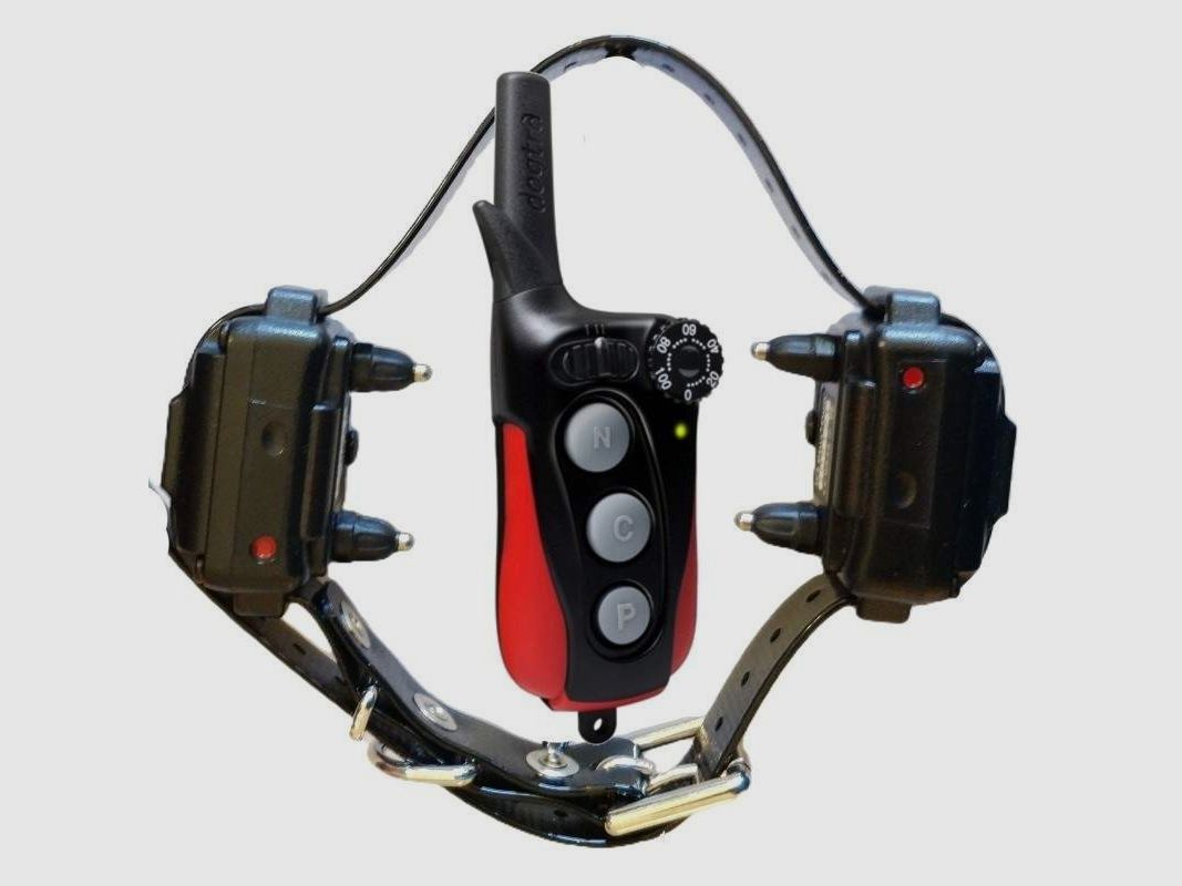 Collare Educativo Dogtra iQ Plus Duo