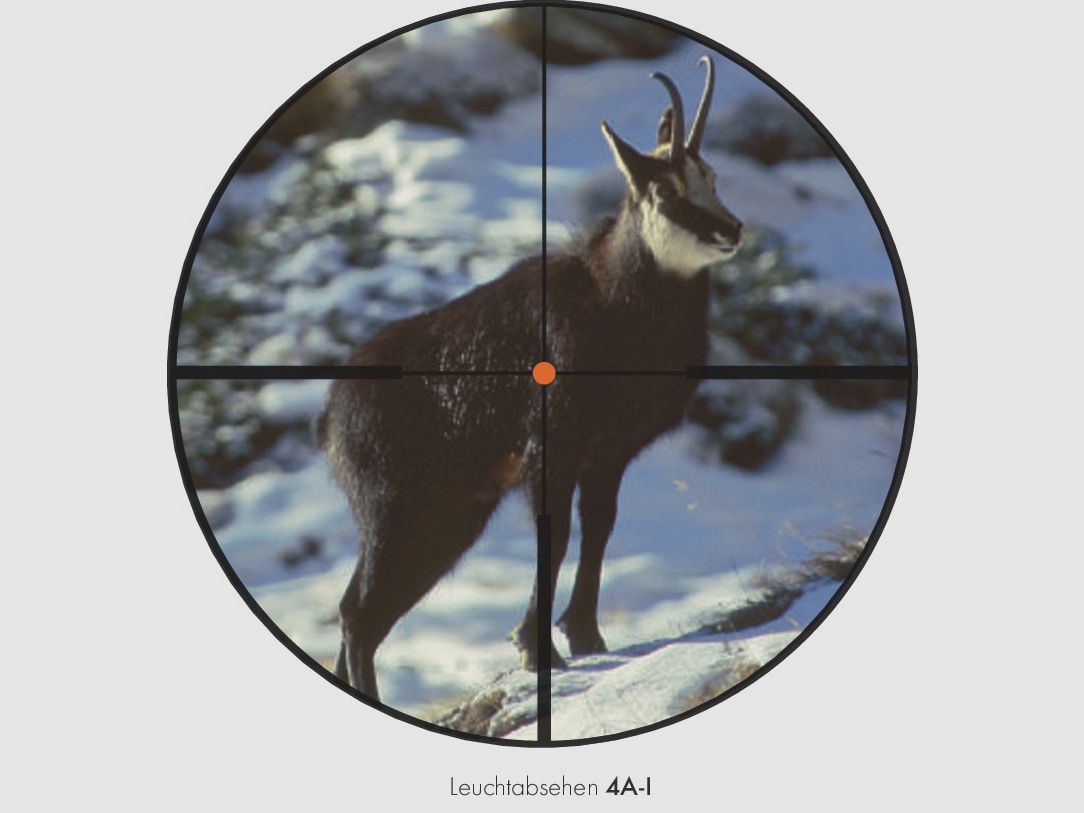 Swarovski Z8i 2-16x50 P SR