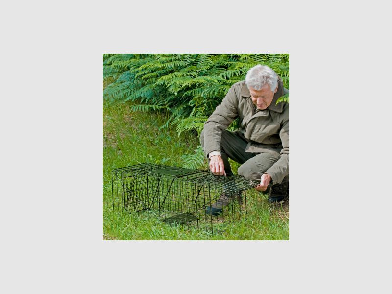 the Lake Passion Box Trap (foldable) |