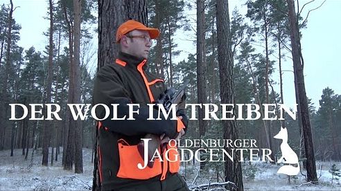 Der Wolf im Treiben - Erfahrungen im Jagdjahr 2016/2017