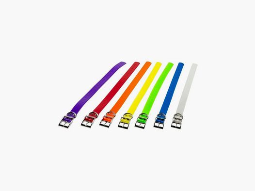Hondenhalsband Country 2,5 cm Polyurethaan Paars - Duurzaam en Comfortabel - Ideaal voor Jacht en Wandelen