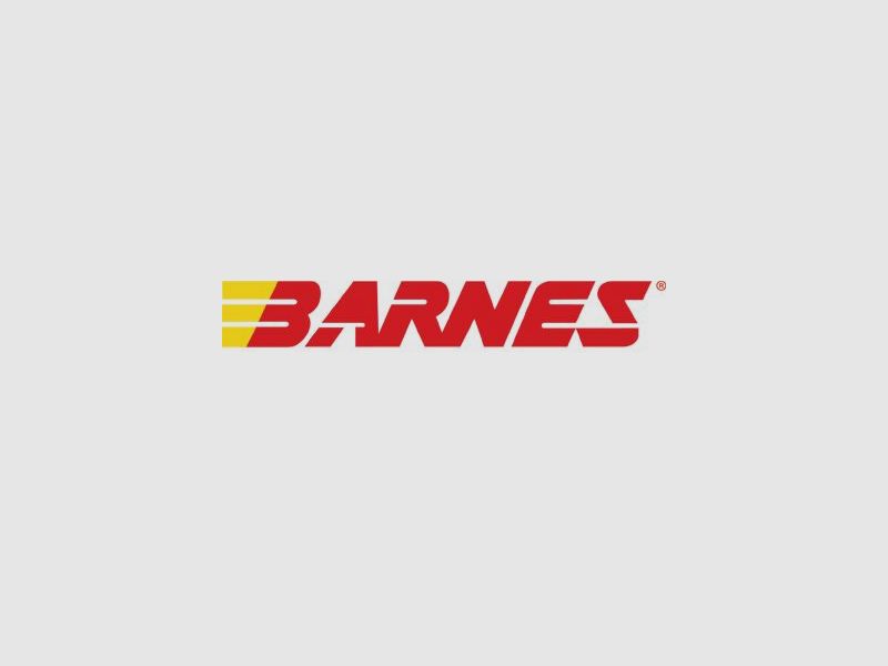 Barnes Vor-TX International TTSX BT 300grs - 20 pcs