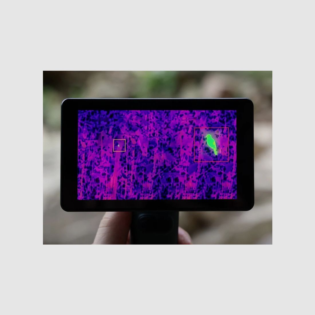 Nocpix Nature ROVEX – termocamera con touchscreen da 5 pollici e rilevamento AI, immagine 11 di 13