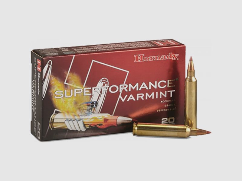 Hornady Superformance Varmint .204 Ruger NTX 24 grs Büchsenpatronen