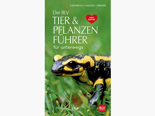 Eisenreich- BLV -Animali & Piante Ute E. Zimmer