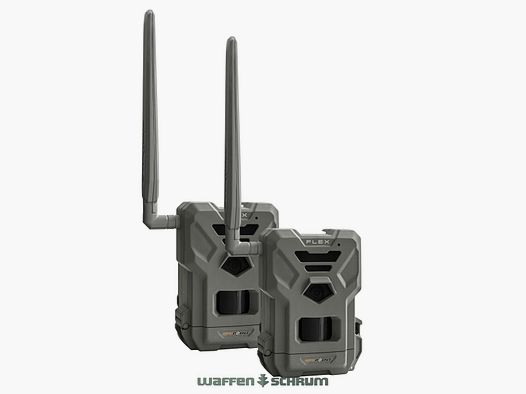 Pack de 2 Spypoint Flex