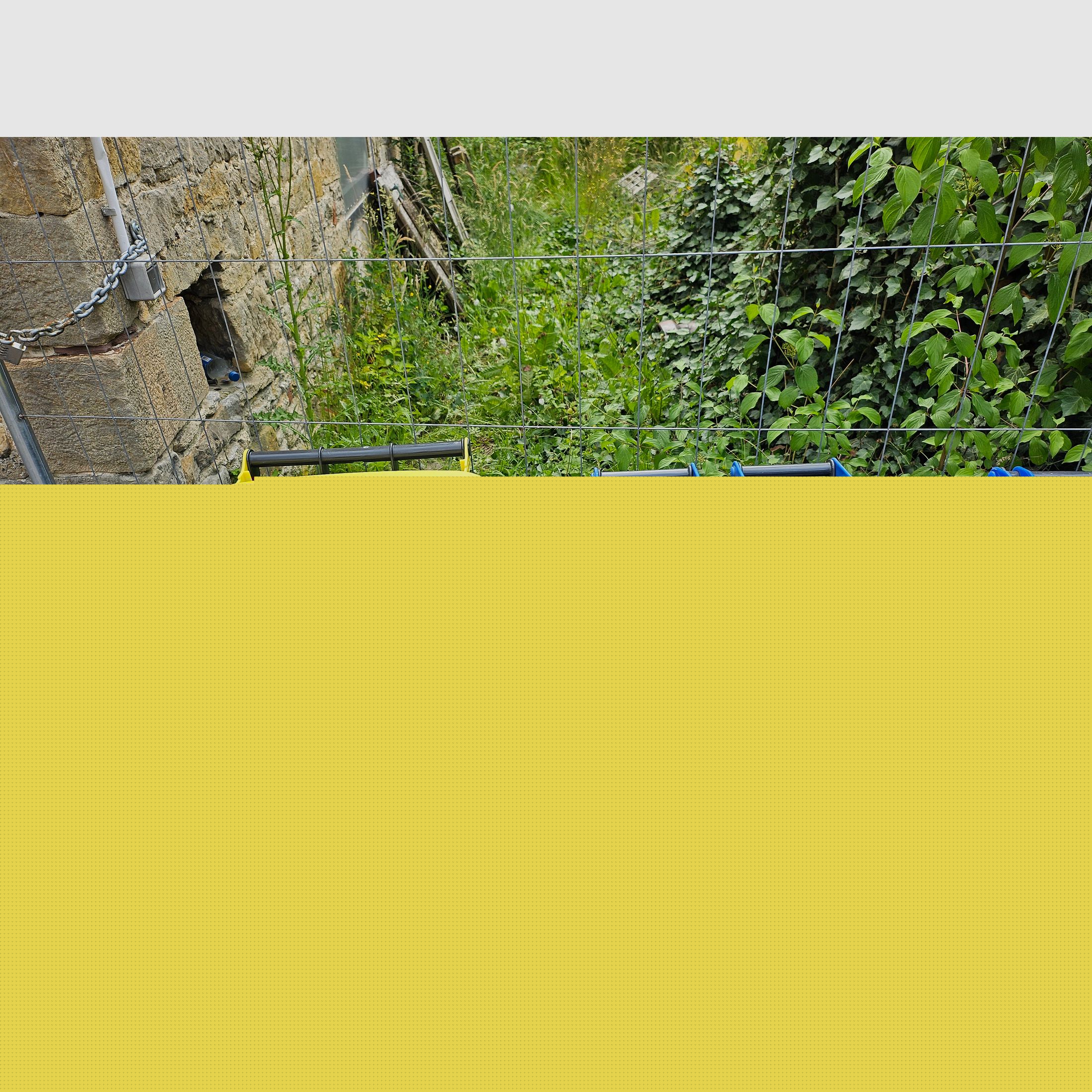 Maletín de armas Ruger