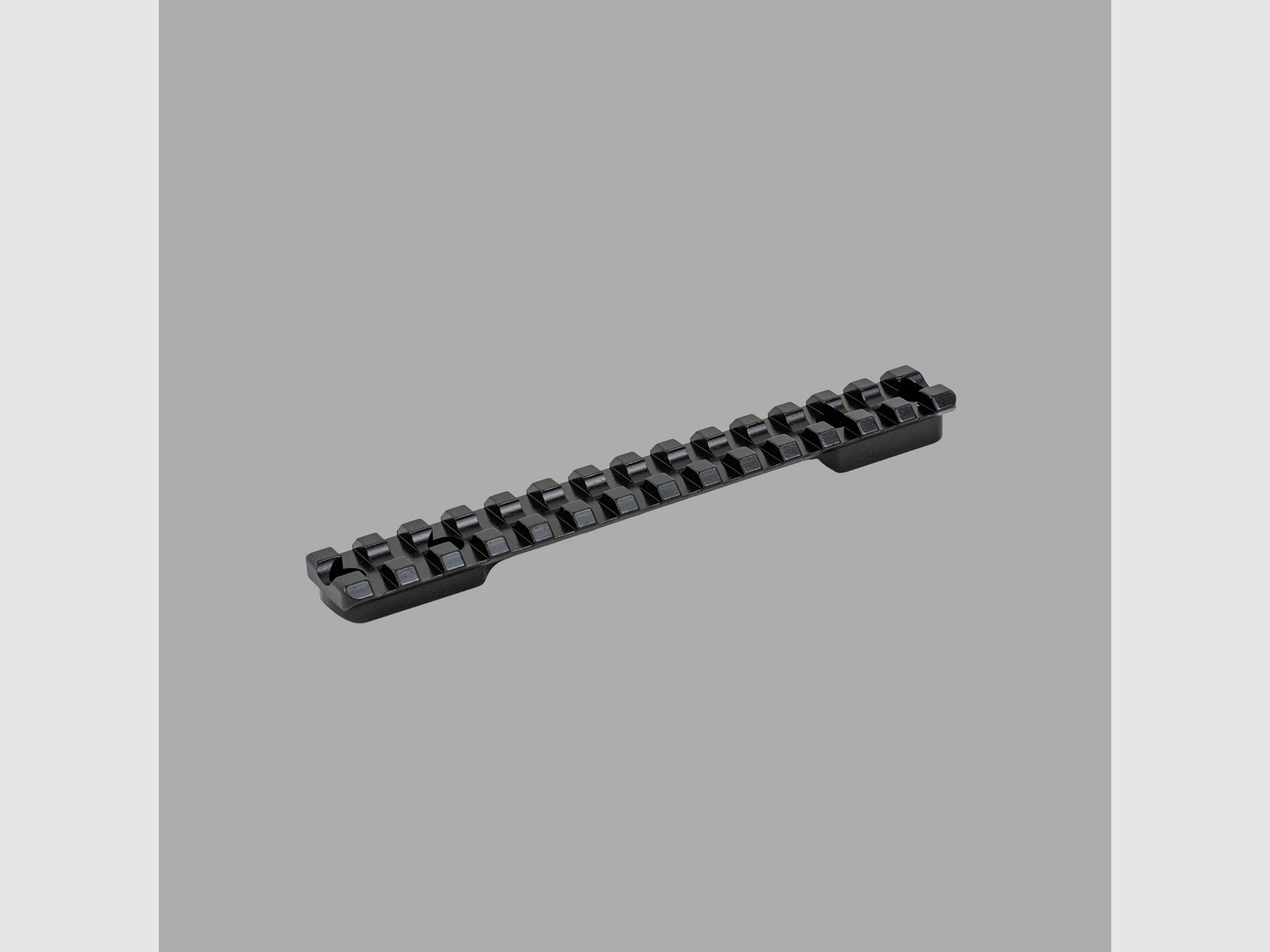 Picatinny Rail SAUER 202 STANDARD
