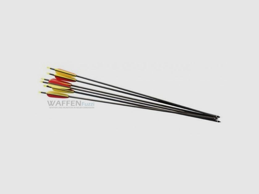 Carbonpfeile 30" 2 Stk. schwarzer Schaft