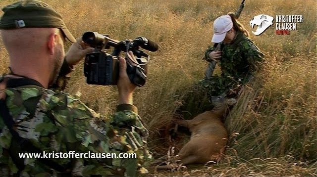 Hunting roebucks, 5 kills, produced by Kristoffer Clausen