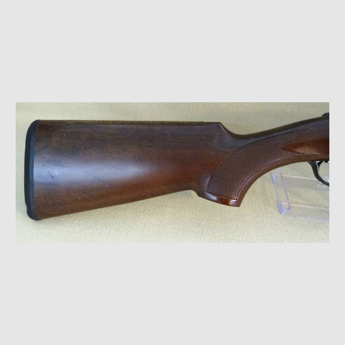 Kettner Campione