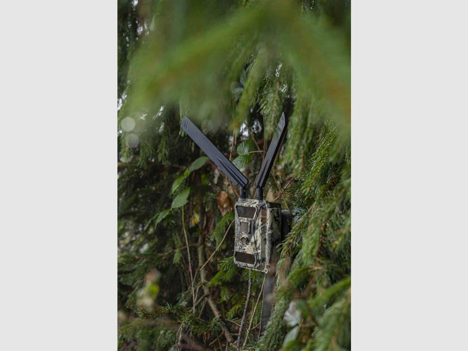 Dörr 204440 Wild und Überwachungskamera SnapShot Cloud 4G