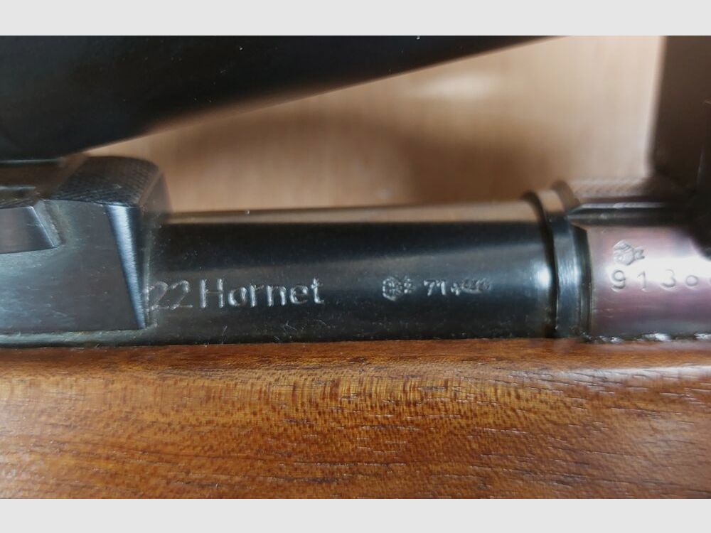 Anschütz, Ulm DJV Match de Chasse