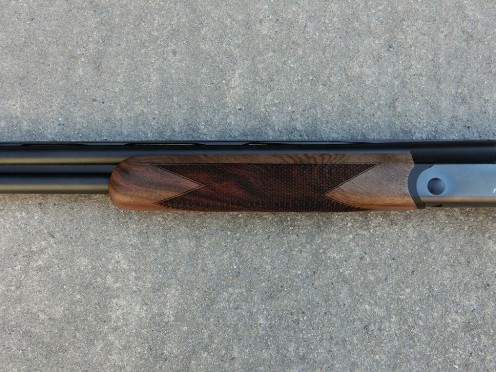 Blaser F16 Game