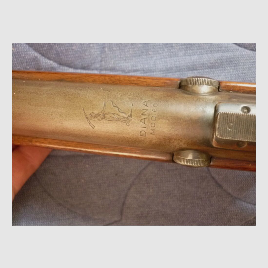 <Diana Mod. 60, zdjęcie 4 z 8