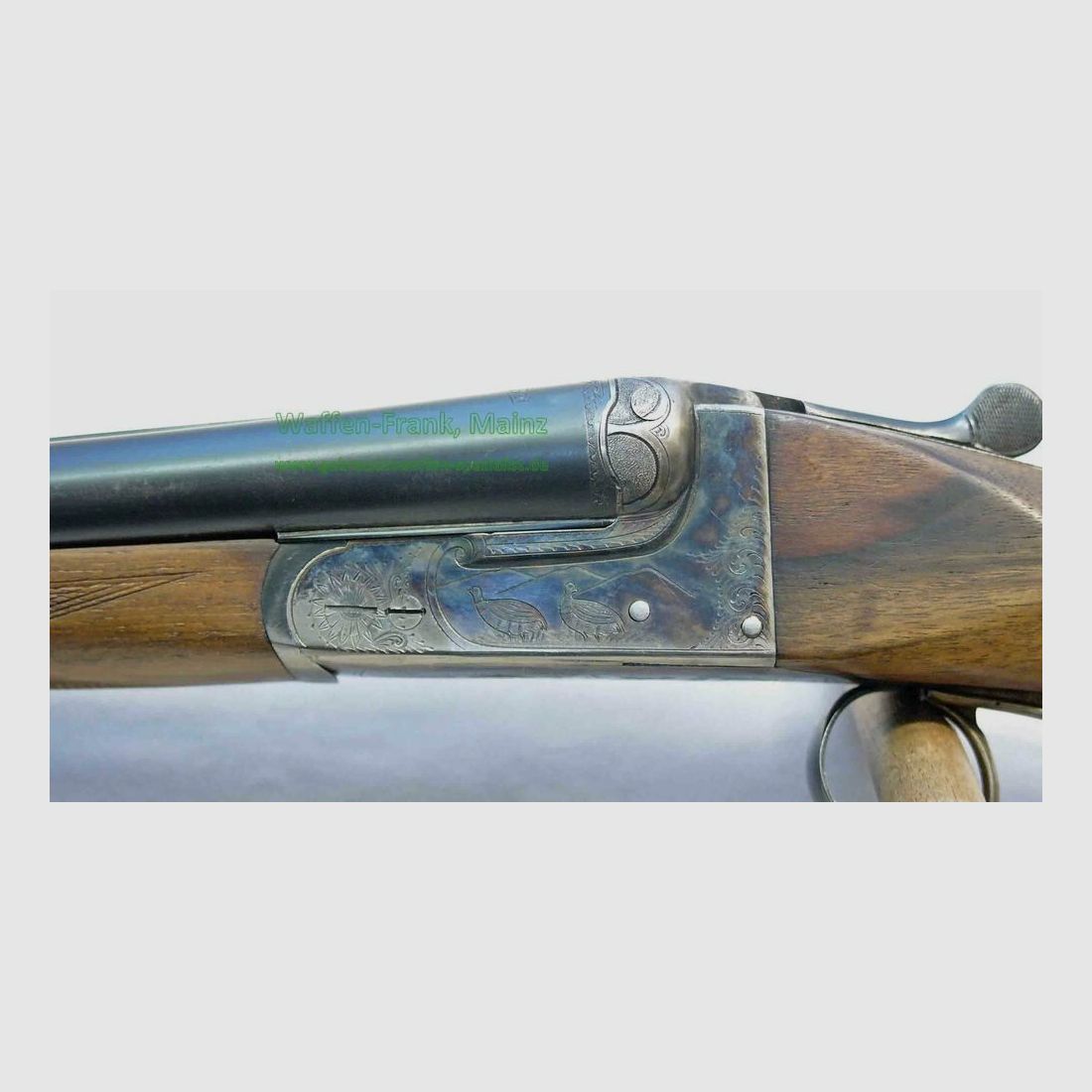 Gecardo Mod. Hunting