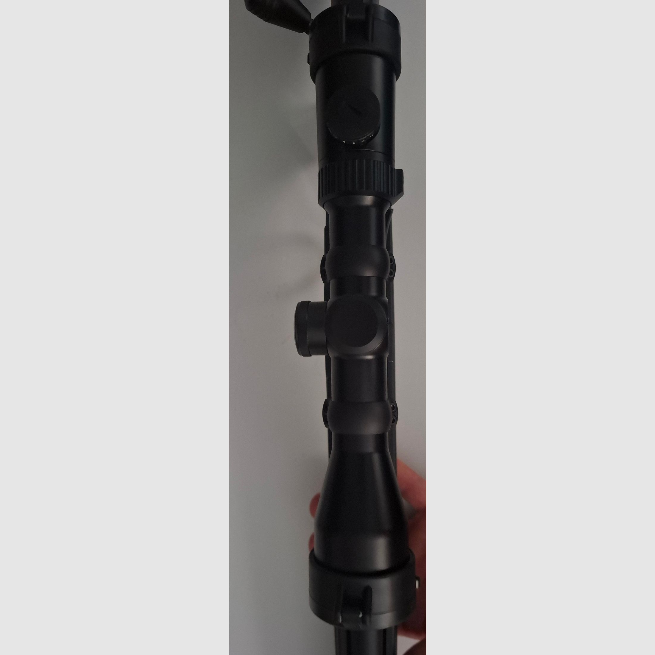Bergara 