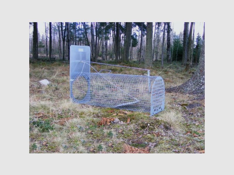 Lotin Badger Trap (unassembled)