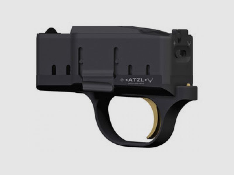 Blaser ATZL system conversion