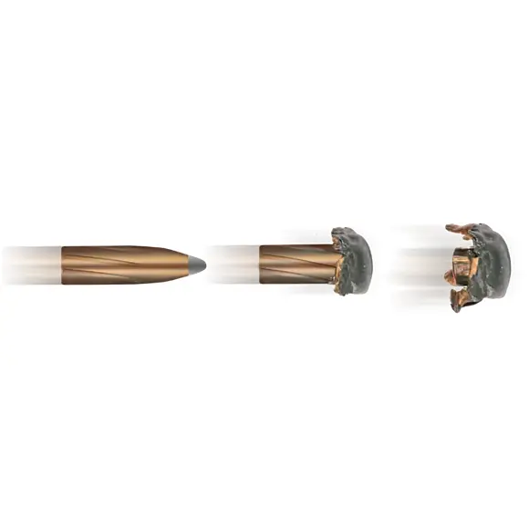 Cartucce da Caccia .270 WSM Geco Softpoint, immagine 5 di 6