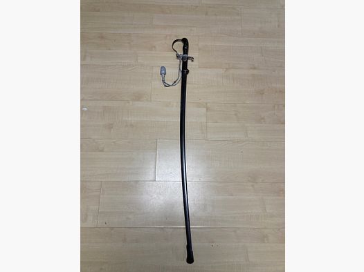 <Sabre Alcoso Solingen>