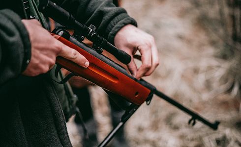 Freizeit-Luftgewehr: Die besten Einstiegsmodelle