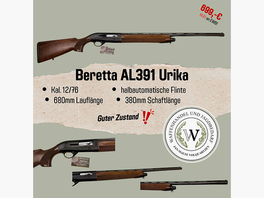 Beretta AL391