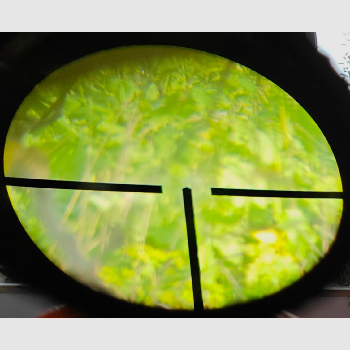 Remington 700 .30-06, Zeiss 8x56