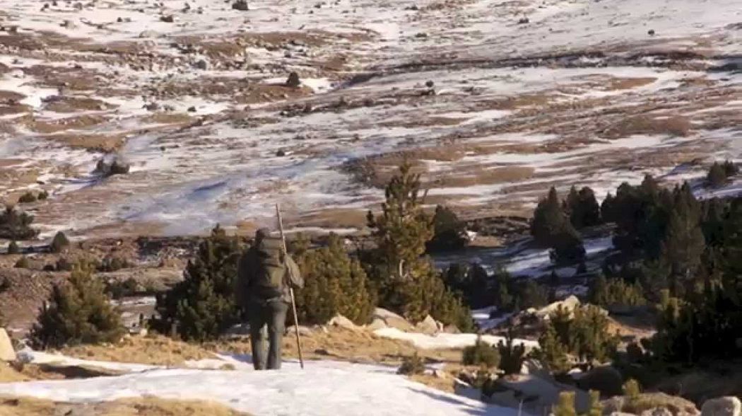 Chamois hunting (Isard) - France - Pretot Hunting