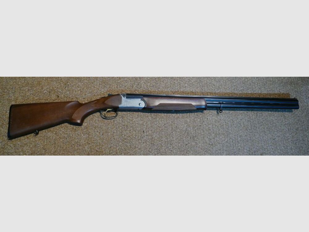 Rizzini Albion