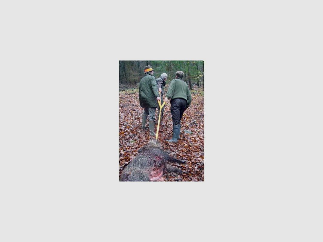 Dreizug Wildbergehilfe